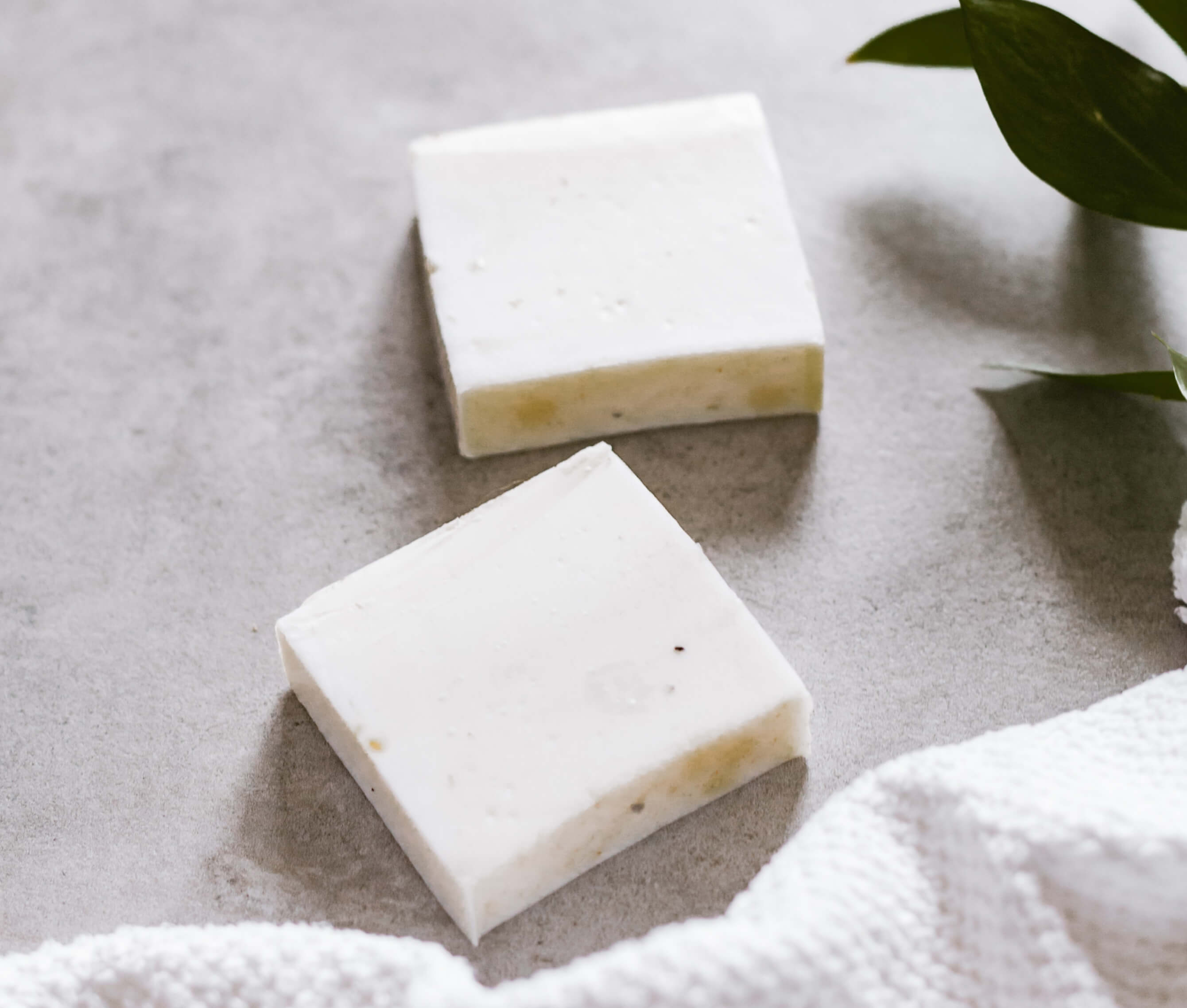 Chiccare Coconut Milk Body Soap